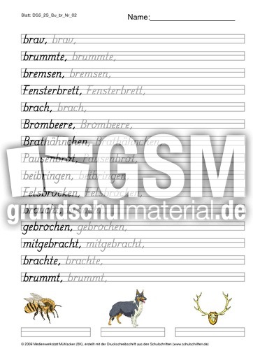 DSS_2S_Bu_br_Nr_02.pdf